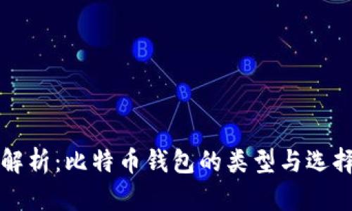 全面解析：比特币钱包的类型与选择指南