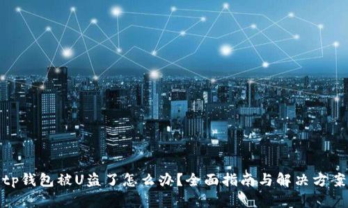 tp钱包被U盗了怎么办？全面指南与解决方案
