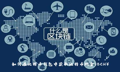 如何在比特币钱包中获取比特币现金（BCH）