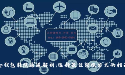 tp钱包转账通道解析：选择最佳转账方式的指南