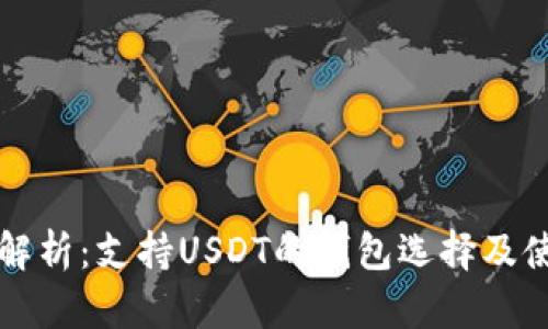 全方位解析：支持USDT的钱包选择及使用指南