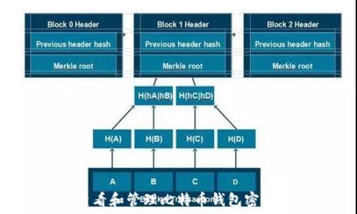   

如何安全查看和管理比特币钱包密钥：完整指南