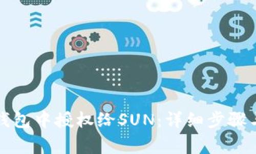 如何在TP钱包中授权给SUN：详细步骤与注意事项