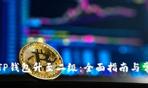 如何顺利将TP钱包升至二级：全面指南与常见问题解答