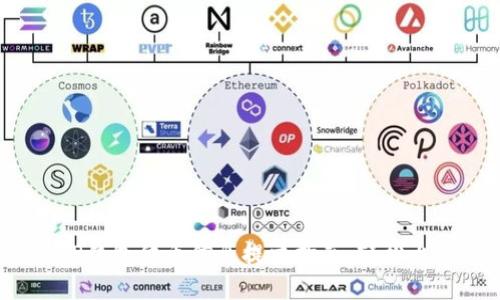 : TP钱包代币信息提交指南：轻松上手！