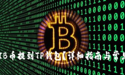 如何将SHIB币提到TP钱包？详细指南与常见问题解答