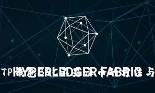 解决TP钱包BSC不显示币的方法与技巧