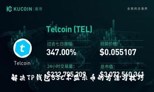 解决TP钱包BSC不显示币的方法与技巧
