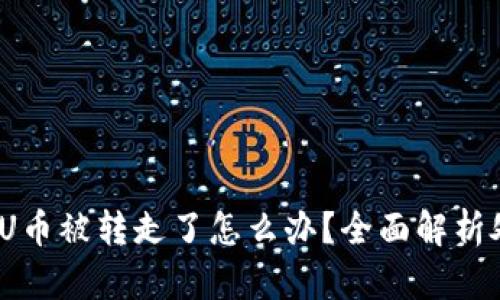  TP钱包U币被转走了怎么办？全面解析处理措施