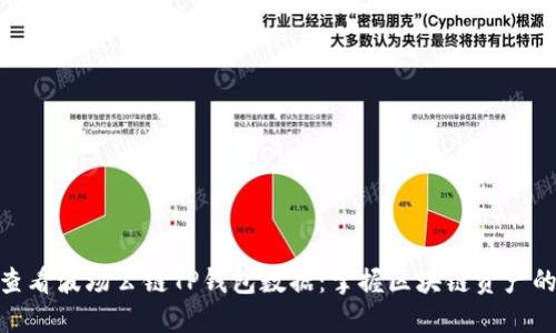 如何查看波场公链TP钱包数据：掌握区块链资产的关键