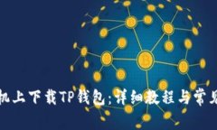 如何在手机上下载TP钱包：