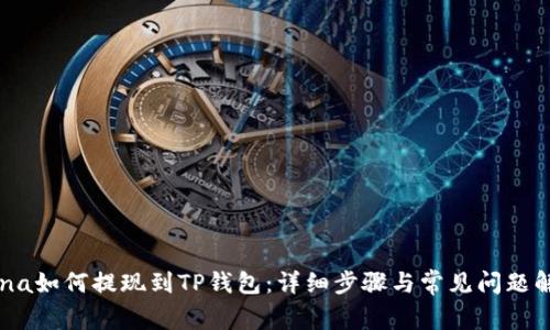 Luna如何提现到TP钱包：详细步骤与常见问题解答