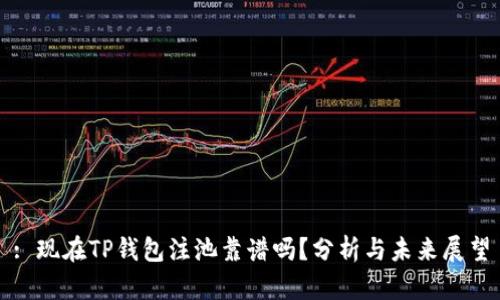 : 现在TP钱包注池靠谱吗？分析与未来展望