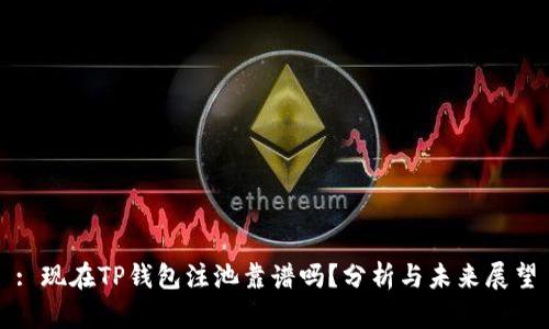 : 现在TP钱包注池靠谱吗？分析与未来展望