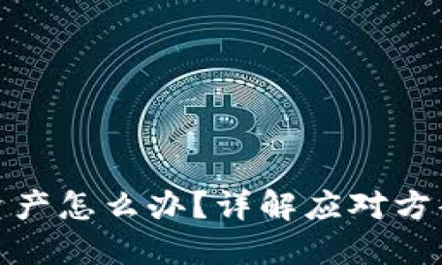 TP钱包倒闭资产怎么办？详解应对方案与保障措施