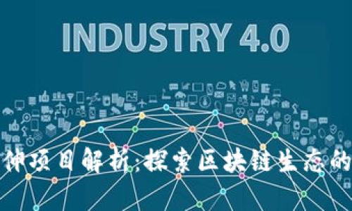 : TP钱包延伸项目解析：探索区块链生态的多元化发展