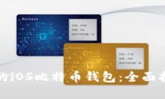 如何选择适合的iOS比特币