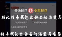     早期比特币钱包文件名