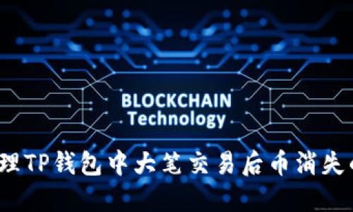如何处理TP钱包中大笔交易后币消失的问题？