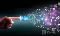 如何在TP钱包中快速查看您