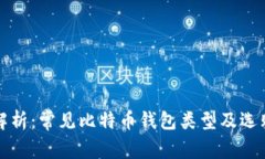 全面解析：常见比特币钱