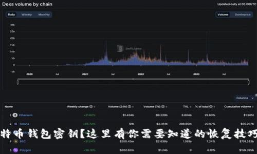 忘记比特币钱包密钥？这里有你需要知道的恢复技巧及建议
