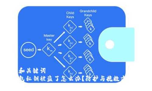 题目和关键词  
tp钱包私钥被盗了怎么办？防护与挽救方案详解